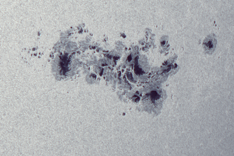 Sonnenfleckengruppe AR13664 am 9.5.2024