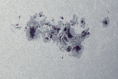 Sonnenfleckengruppe AR13664 am 9.5.2024