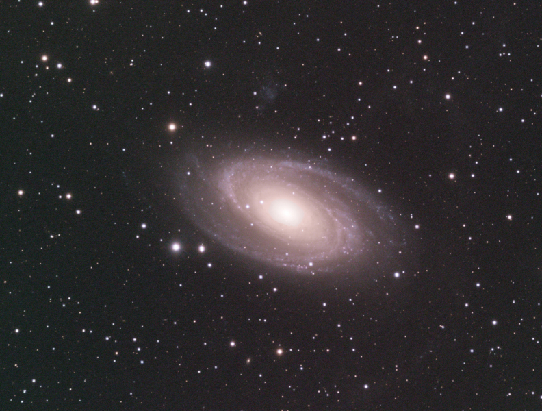 M81