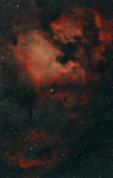 NGC7000 - Nordamerika- mit Pelikannebel