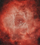 NGC2244 - Rosettennebel (Zoom)
