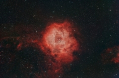 NGC2244 - Rosettennebel