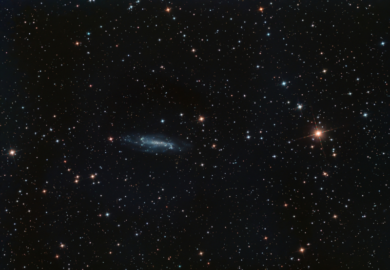 NGC4236