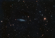 NGC4236