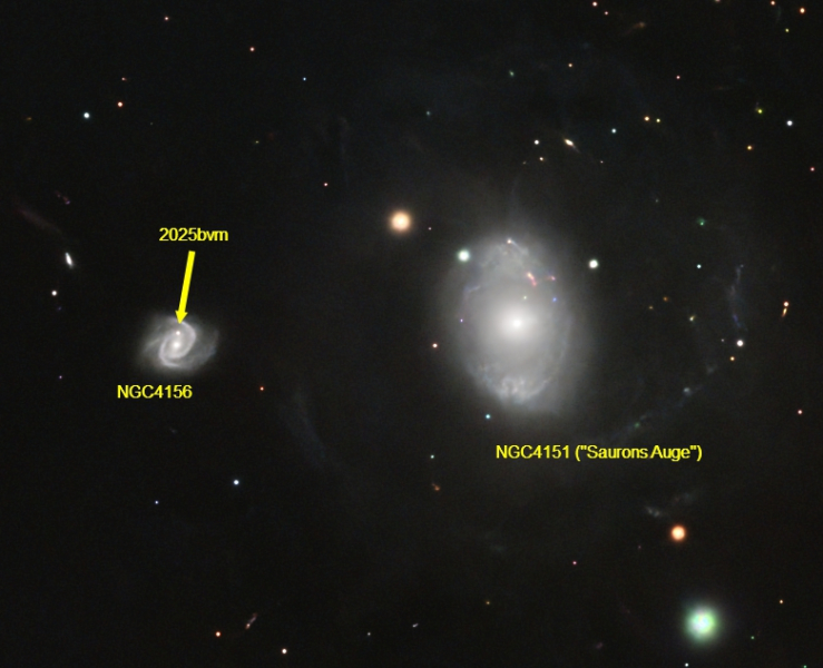NGC4156 mit Supernova 2025bvm