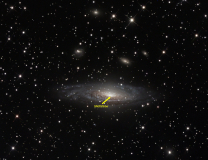 NGC7331 mit Supernova SN2025rbs