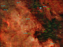 NGC7000 - Nordamerikanebel u. Pelikannebel (annotiert)
