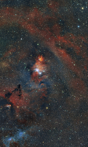 NGC2264 - Weihnachtsbaumsternhaufen, Konusnebel