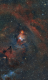 NGC2264 - Weihnachtsbaumsternhaufen, Konusnebel